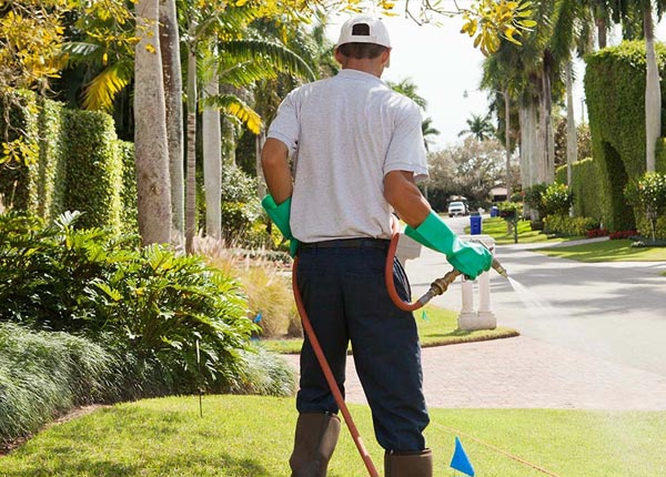 About Santa Margarita CA Pest Control Pros
